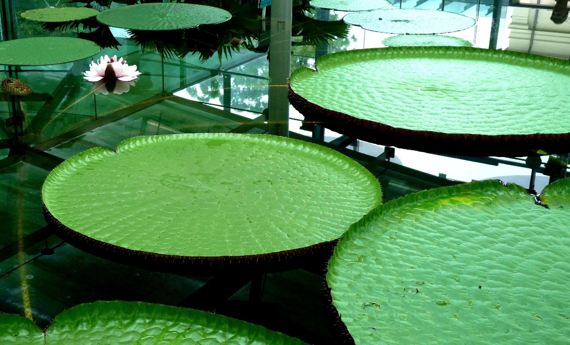 Jana Rozehnalová: Na rybách